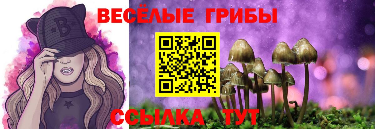 Галлюциногенные грибы мухоморы Великий Новгород