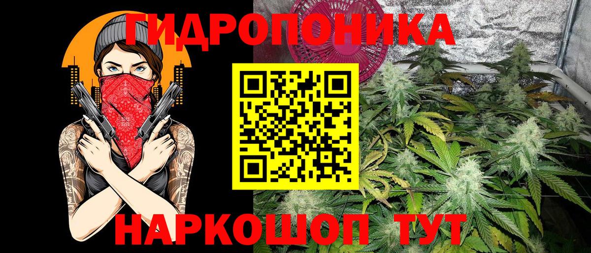 Марихуана SATIVA & INDICA Великий Новгород